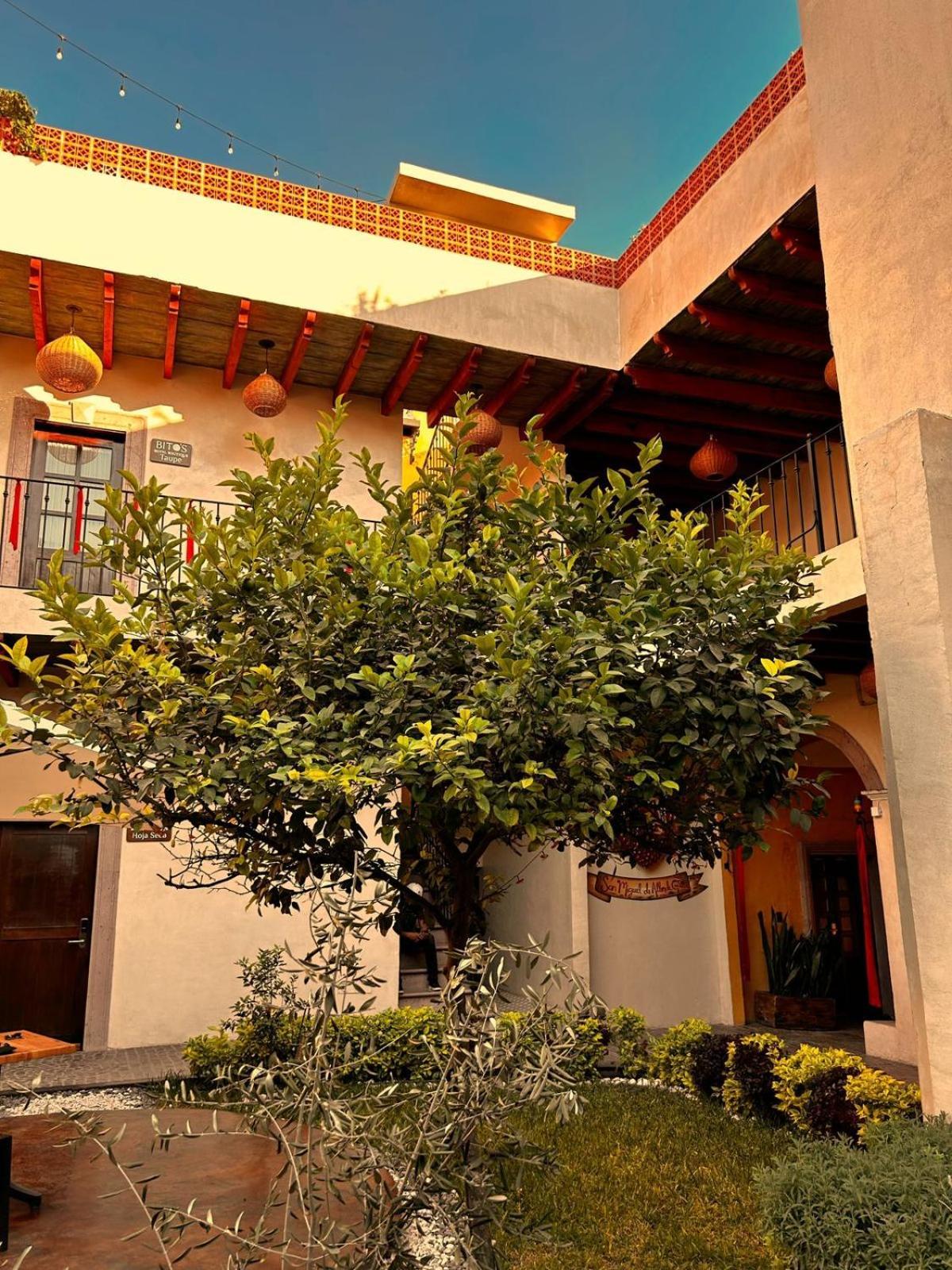Casa Bito's Hotel Boutique San Miguel de Allende Extérieur photo